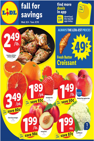 Lidl Weekly Ad Preview September 4